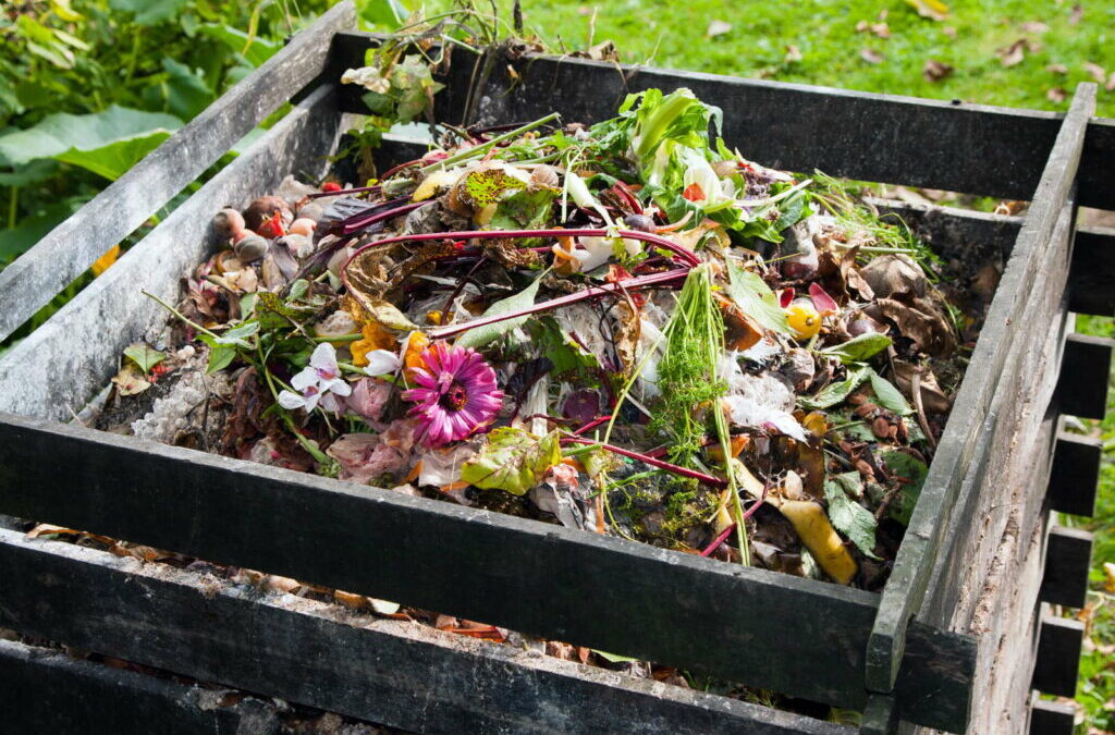 Juiste compostering: Tips & trucs voor uw eigen compost