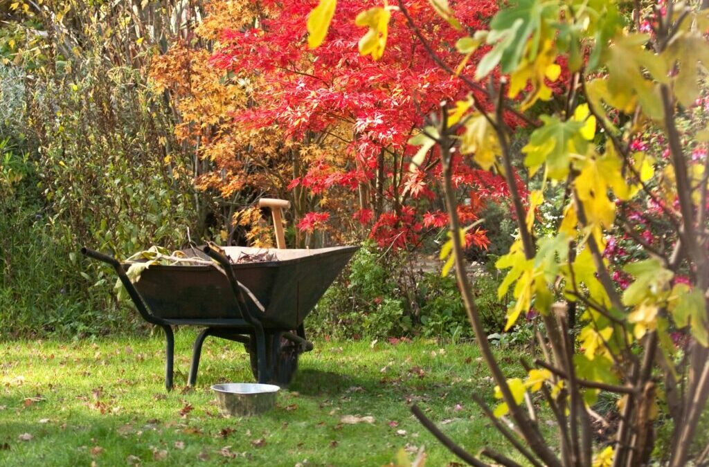 Maak de tuin winterklaar: Checklist & nuttige tips