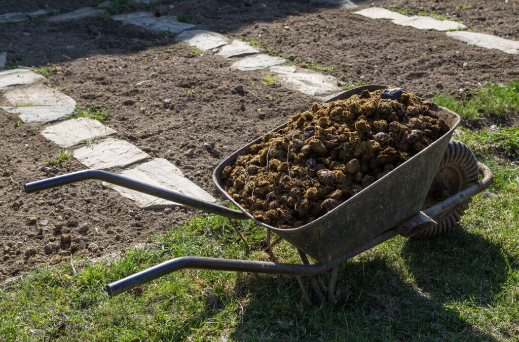 Paardenmest als meststof: Effect & toepassing in de tuin