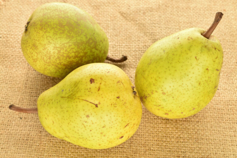 Peer Alexander Lucas: bestuiver, smaak en oogst