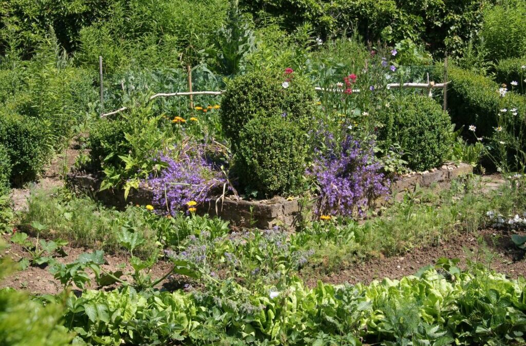 Permacultuur in de tuin: Hoe plant je een blijvend gewas?