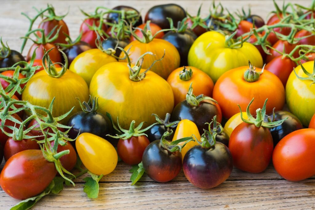 Verschillende tomaten
