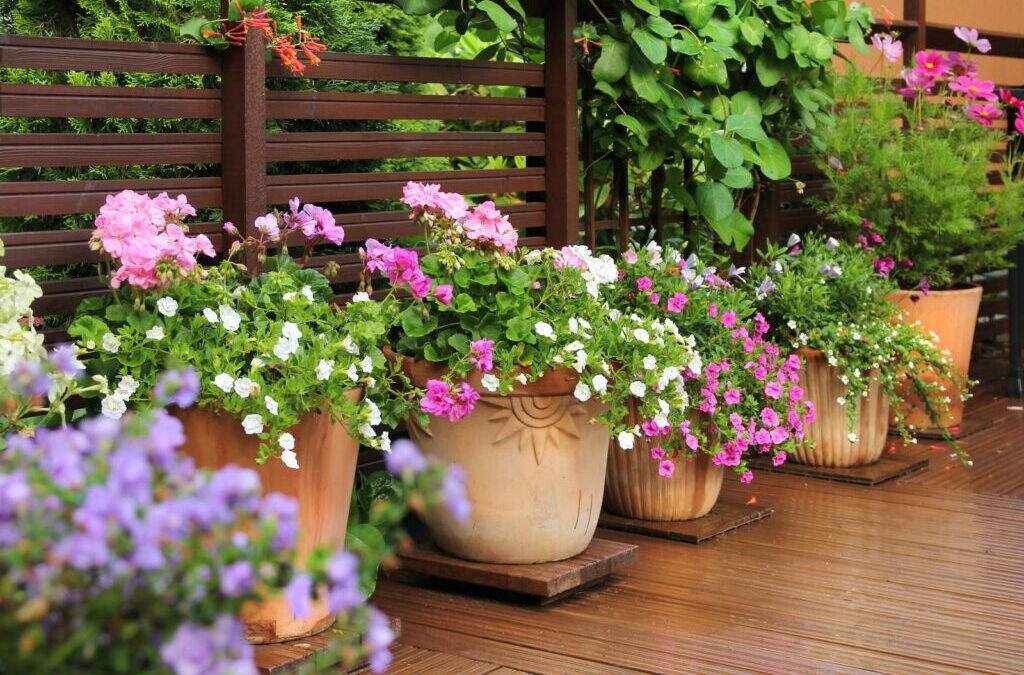 Potplanten: Onze top 15 voor uw tuin & balkon