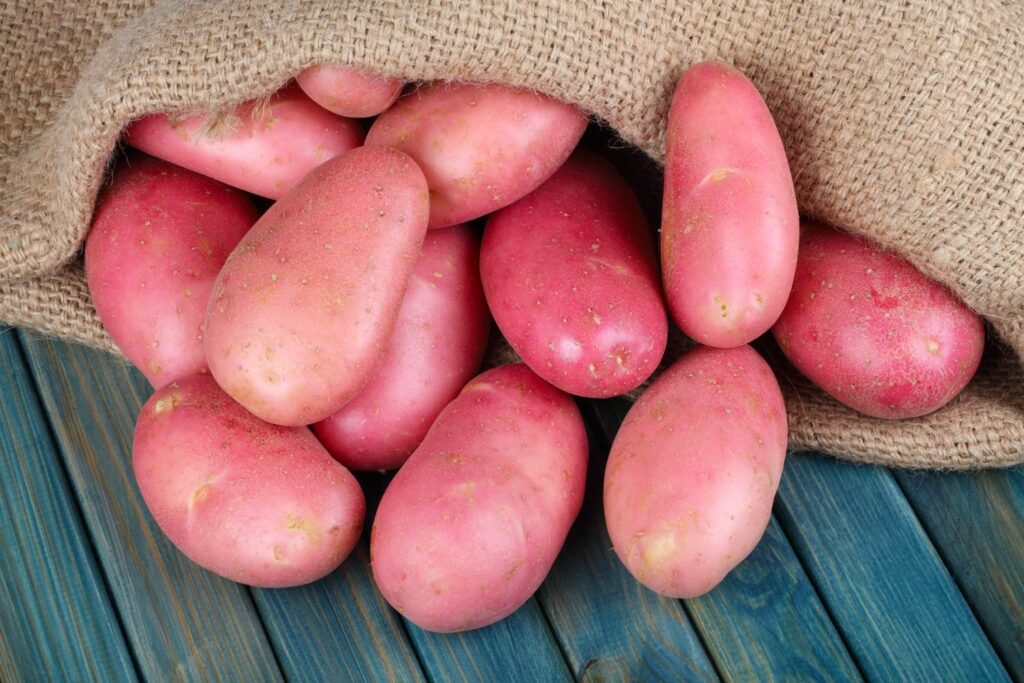 Rode aardappelen