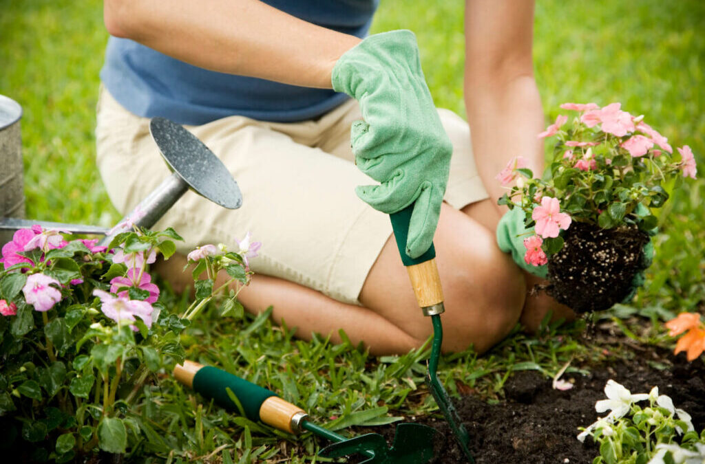 Tuinonderhoud in het voorjaar en de zomer: wat te doen en wanneer?