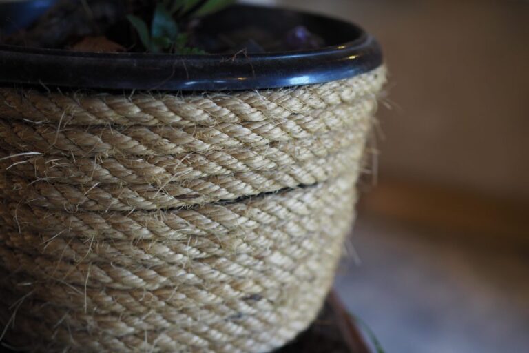 Upcycling: Sisal bloempotten voor vleesetende planten (DIY)