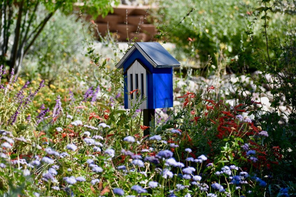 Blauw vlinderhuis in tuin
