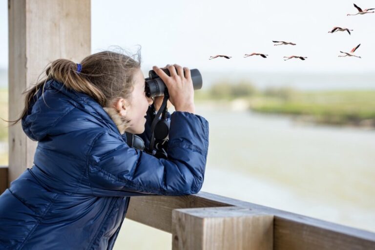 Vogels kijken: 10 tips voor amateur ornithologen