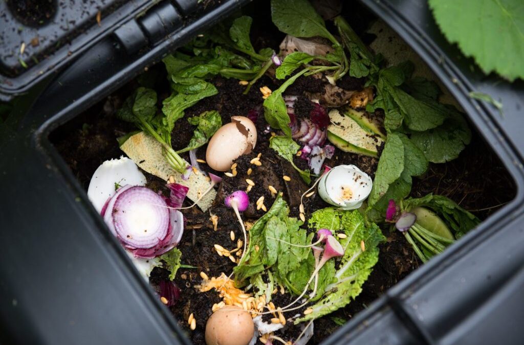 Wat is compost? Eigenschappen, oorsprong en verspreiding