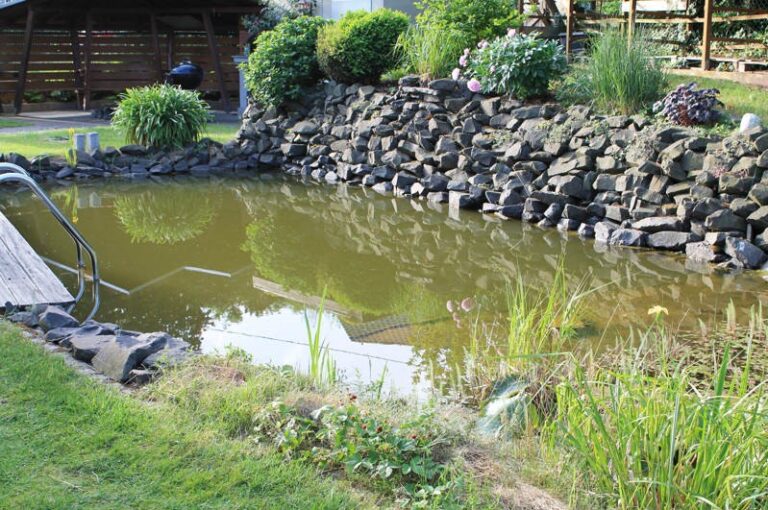 Zwemvijver voor in de tuin – dicht bij de natuur en verfrissend