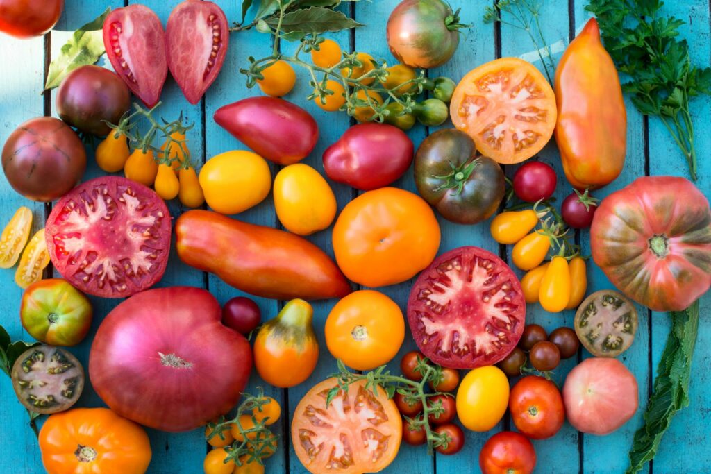 verschillende tomatenrassen