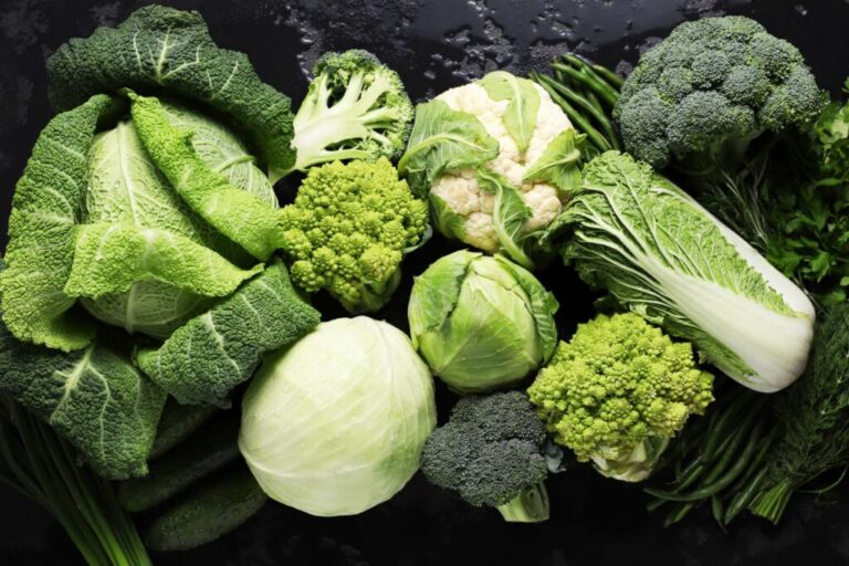 Koolsoorten: kool kan zo veelzijdig zijn