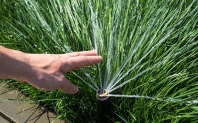 Geef uw gras automatisch water: Je hebt deze opties
