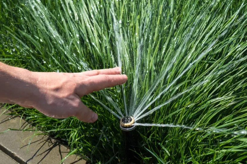 Geef uw gras automatisch water: Je hebt deze opties