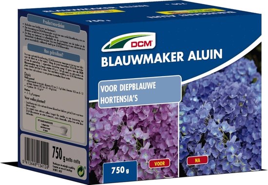 Blauwmaker Hortensia - Aluin