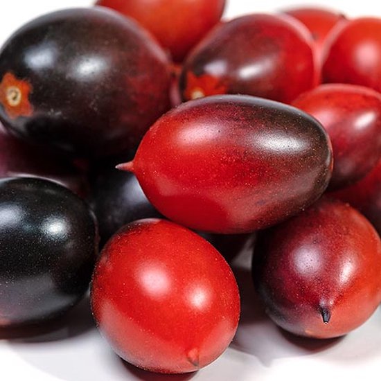 BIO tomaten zaden - Cherrytomaat Black Plum