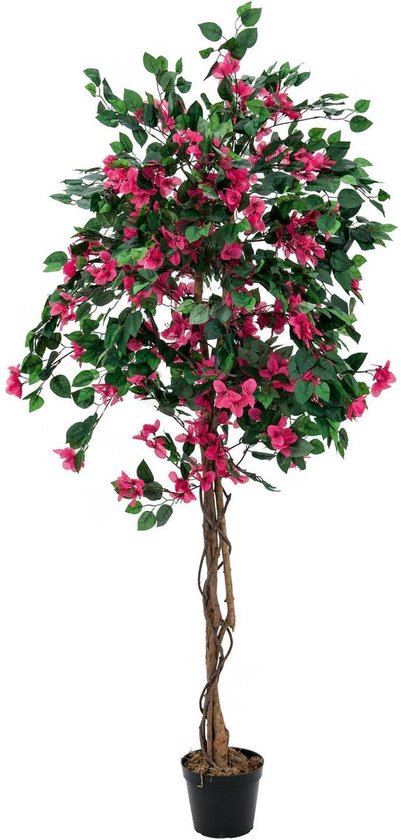 Europalms - Kunstplant - Fruitboom of met Kunstbloemen - Kunstplanten voor binnen en buiten - Bougainvillea red 150cm