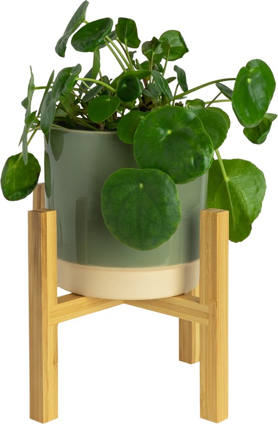 QUVIO Bloempot standaard - Plantenzuil - Plantenstandaard - Plantentafel - Bloempot houder - Bloempot op poten - Binnenmaat 16 cm - Bamboe - Hout - Lichtbruin