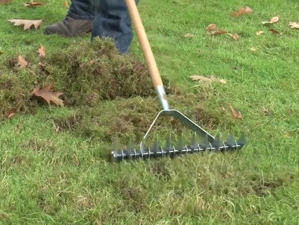 Wat is verticuteren? Definitie verticuteren [+5 gazontips]