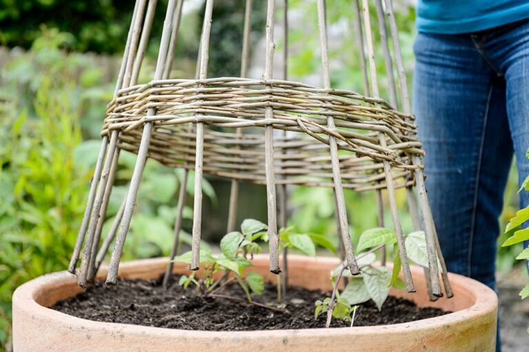 De tuin in mei week 19: dit kun je nu doen