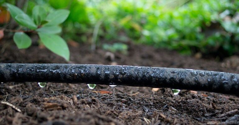 Hoe werkt druppelslang