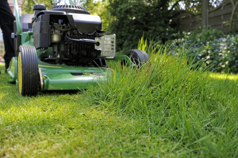 Voorkom deze 5 fouten bij het maaien van gras