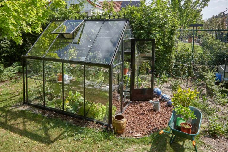 zo houd je je gewassen gezond