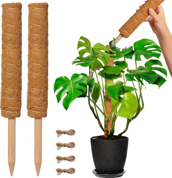 Mosstok voor Planten - Verlengbaar tot 80cm - Plantenstok - Plantensteun - Perfect voor Monstera, Pothos en Meer - 2x50 cm - Inclusief Juten Touw
