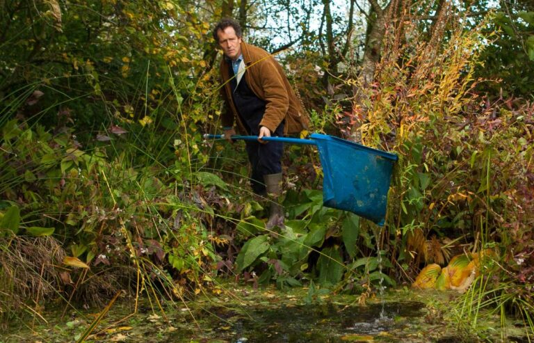 Kroos en algen verwijderen doe je zo