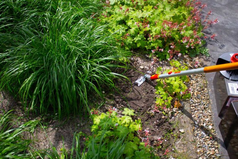 Een gids voor het najaar